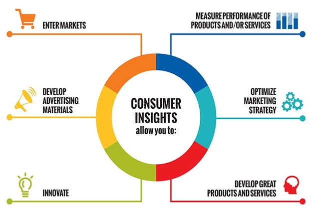 Consumer Insights Services